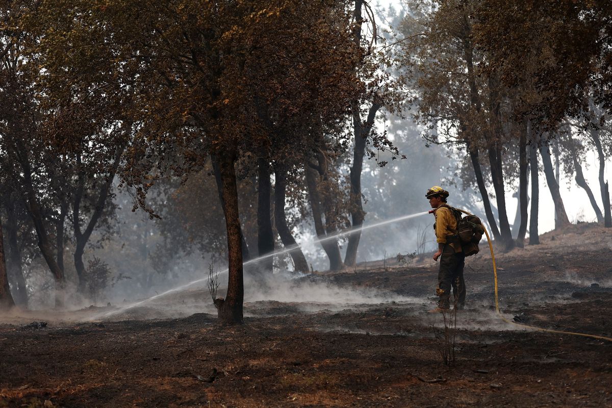A Cal Fire firefighter uses a hose to mop up hot spots after the Oak fire moved through the area on Monday near Jerseydale, California.  (Justin Sullivan/Getty Images North America/TNS)