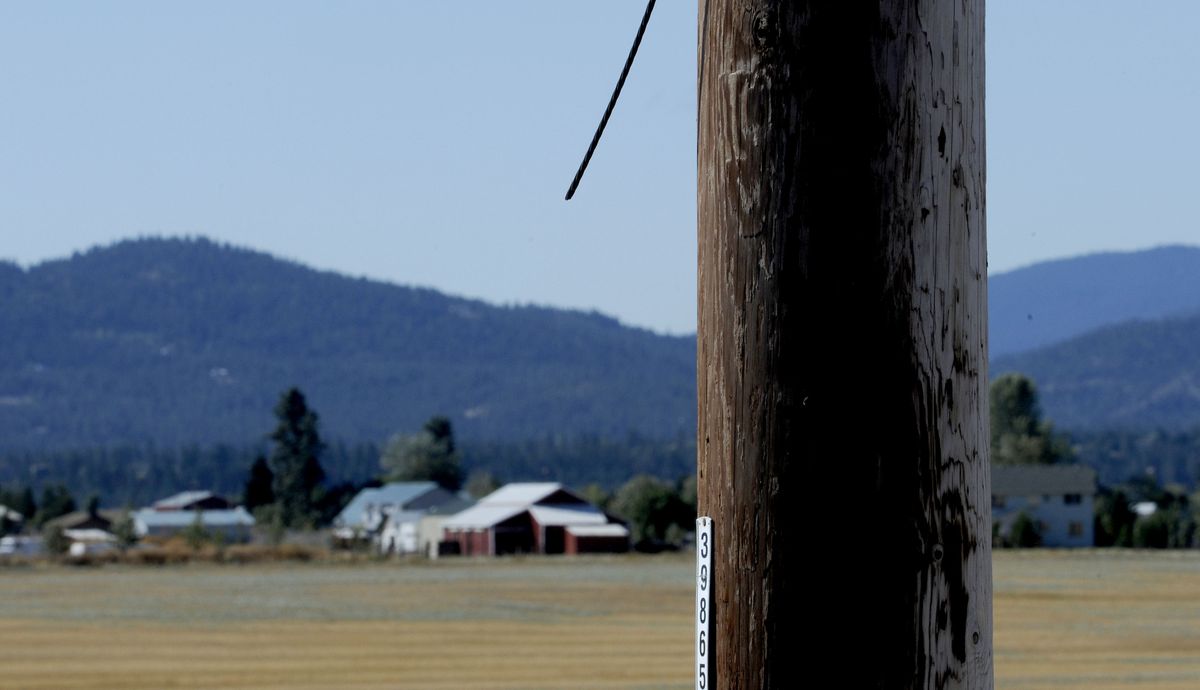 A clipped copper ground wire hangs from a power pole on Huetter Road in Hayden last week.