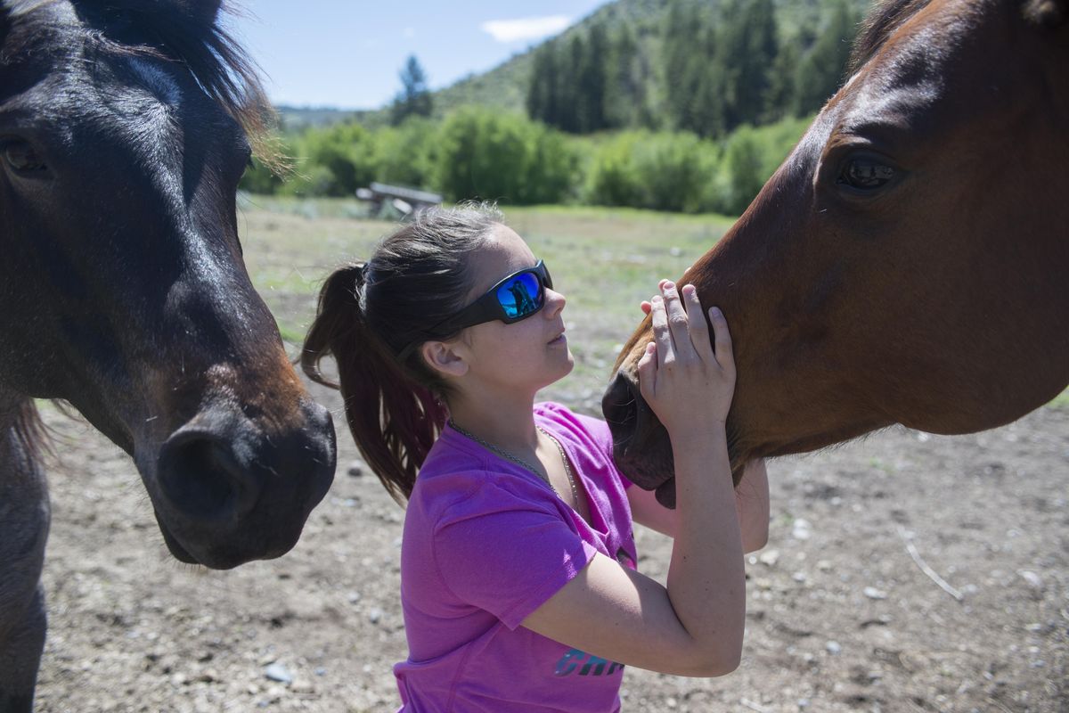 Thirteen-year-old Evelyn Picking greets two of the horses kept at the home of her grandparents, Bob and Peggy Nelson, Wednesday, May 17, 2017,  in Omak, Washington. Picking has enrolled in Washington Virtual Academy, aka WAVA, and finding success in online learning which allows her to spend time with her horses during the day. (Jesse Tinsley / The Spokesman-Review)