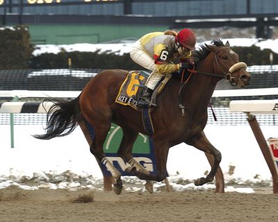 In this Feb. 21, 2005, photo provided by Coglianese Photos, Diane J. Nelson rides Acey Deucey to victory in The Dearly Precious stakes at Aqueduct Race Track in New York. Nelson, a multiple graded-stakes winning jockey who rode over 1,000 winners while capitalizing on her good looks with a modeling career, has died. She was 54. Nelson died July 5, 2017, according to a post on the Moloney Family Funeral Homes of New York's website. (Adam Coglianese / Associated Press)