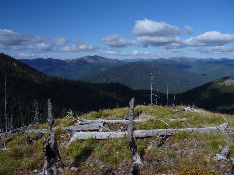 Looking over the Salmo-Priest Wilderness from Mankato Mountain on the Shedroof Divide. (Rich Landers)