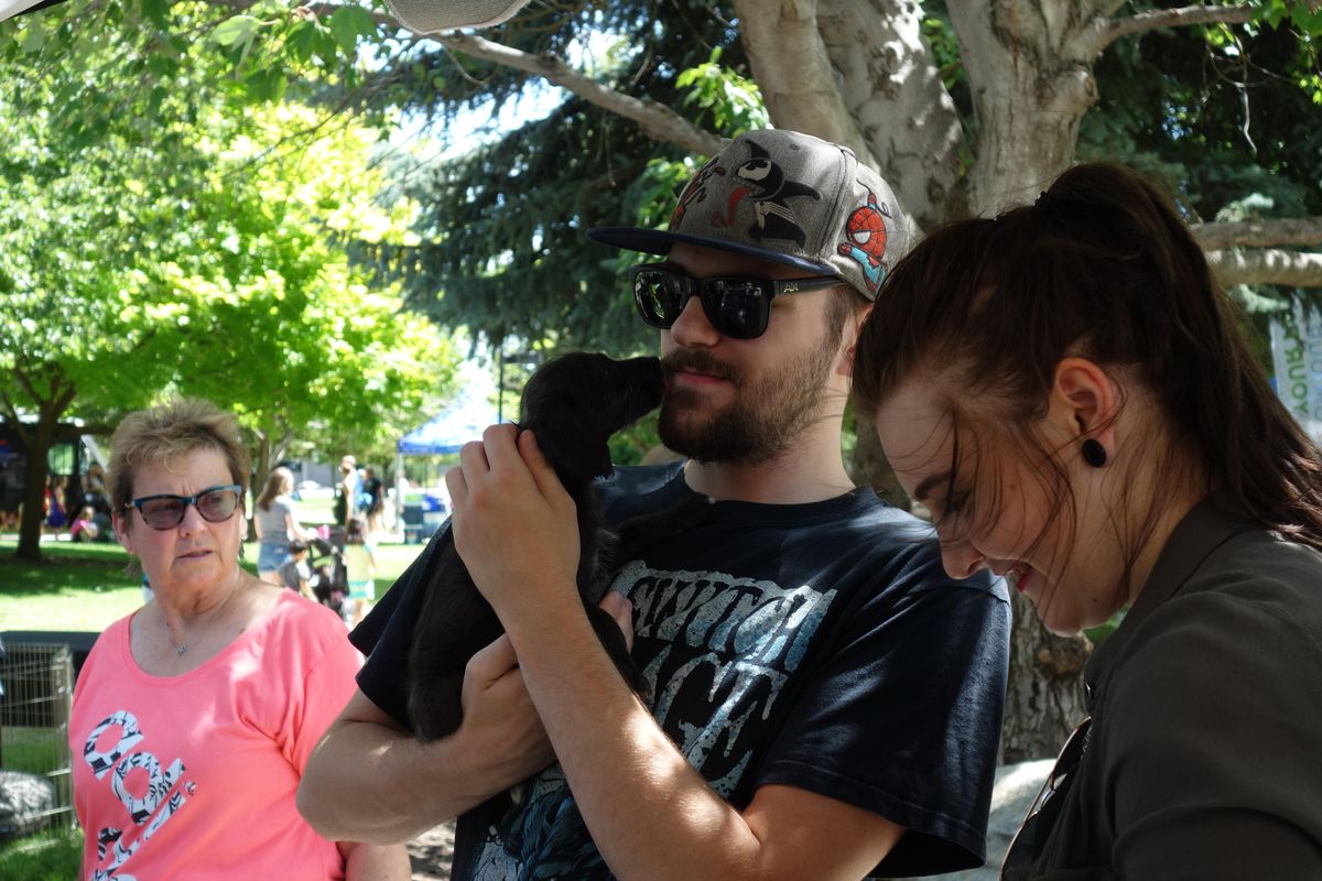 Jarrod Wilson, center, and Leah Harryman play with a dog from High Ground Animal Sanctuary on Saturday, July 27, 2019, during Vegfest at Spokane Community College. (Jonathan Glover / The Spokesman-Review)