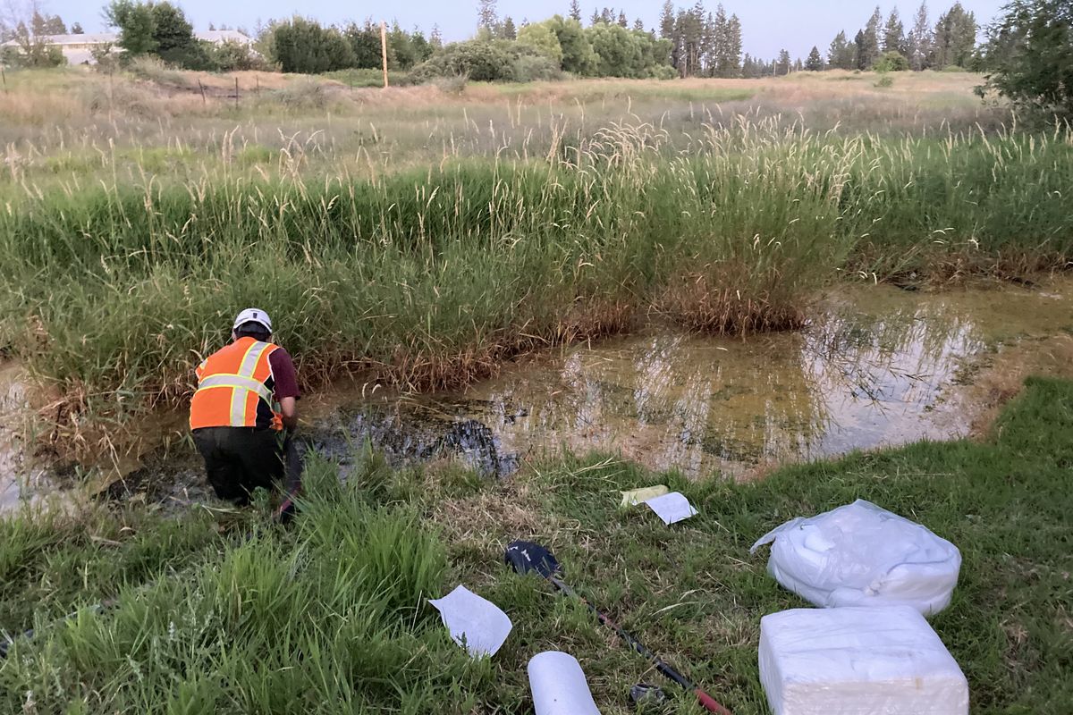 Responders use absorbent material to collect diesel fuel out of Minnie Creek on July 19, 2023.  (Courtesy of Washington State Department of Ecology)