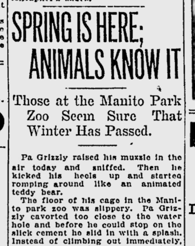 Spring had arrived at the Manito Park Zoo on this day 100 years ago. The animals, particularly the grizzly bears, knew it.  (S-R archives)