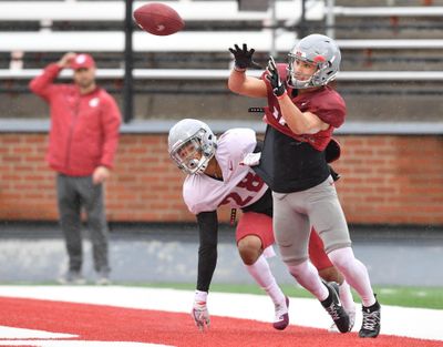 Washington State  wide receiver Brandon Arconado  catches a pass against defensive back Skyler Thomas  during a spring practice on  April 5 at Martin Stadium in Pullman. (Tyler Tjomsland / The Spokesman-Review)