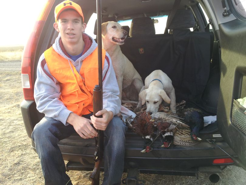Daniel Kuhta, 15, ends his last day of youth upland bird hunting seasons at Fishtrap Lake with a limit of pheasants, and his hunting Lab, Luby, and the family's new pup, Max. (Scott Kuhta)