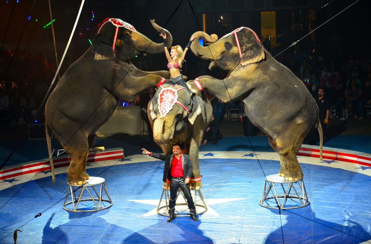 Circus Comes To Cda The Spokesman Review   Sev 14newshrine1 