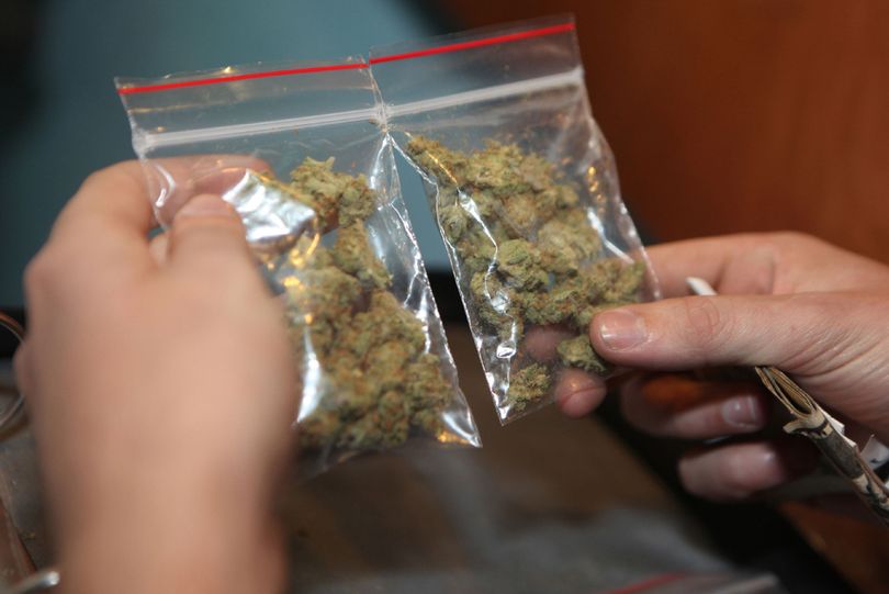 A medical marijuana patient inspects cannabis at Coffeeshop Blue Sky, a medical marijuana dispensary in Oakland, Calif. The Oakland City Council has decided to endorse pot-growing facilities that would produce tons of marijuana and be taxed heavily.