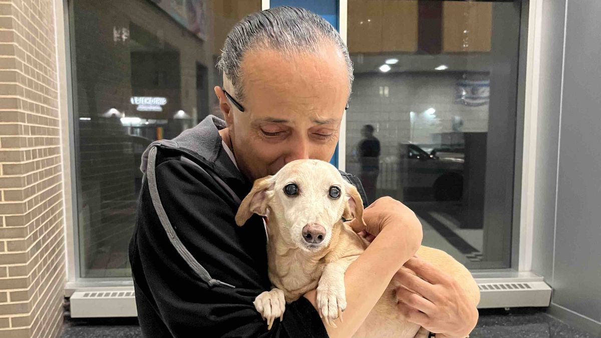 Bam Bam the emotional support dog reunites with Angel Santiago.   ( Bam Bam Rescue Team)