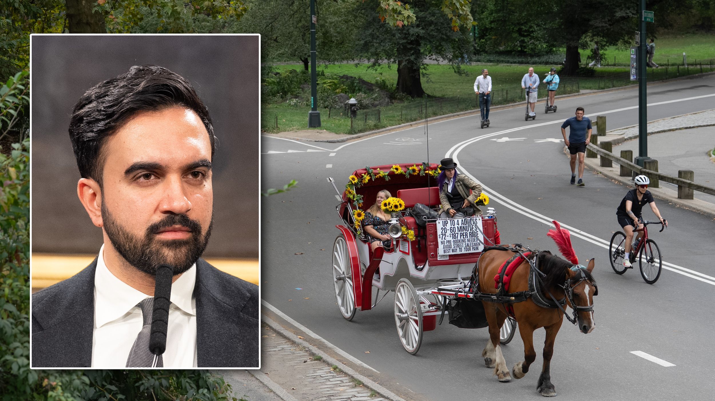 NYC Mayor Zohran Mamdani renews call for banning Central Park carriage horses after horse dies in park – Wed, 10 Jun 2026 PST