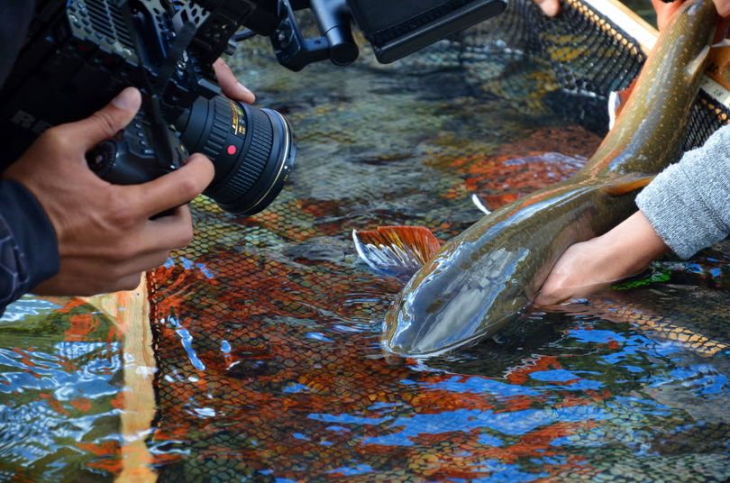 Tonight! International Fly Fishing Film Fest in Spokane The Spokesman
