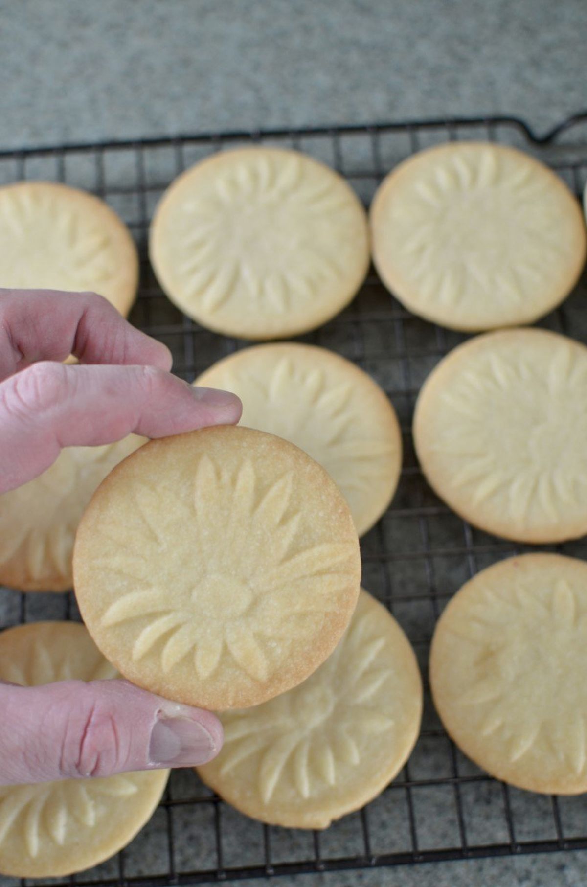 American butter art shortbread pan