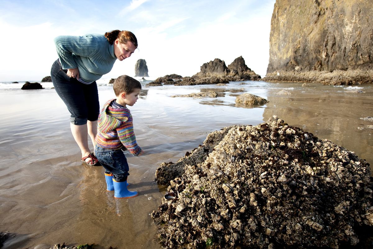Courtney and Connor Johnston, from Astoria, Ore., explore the tide pools at Haystack Rock during a recent low tide along Cannon Beach.