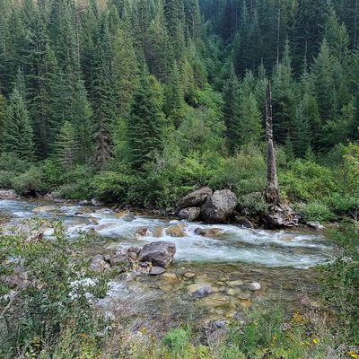 A stream runs through the Clearwater National Forest.  (Eric Barker/Lewiston Tribune )