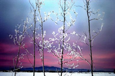 Mount Spokane is framed in the frost rimmed branches of trees north of Deer Park at sunset in a mid-December scene. This time of the year, children can suffer from what is commonly referred to as cabin fever. There are many activities to stave off cabin fever.
(File Photo / The Spokesman-Review)