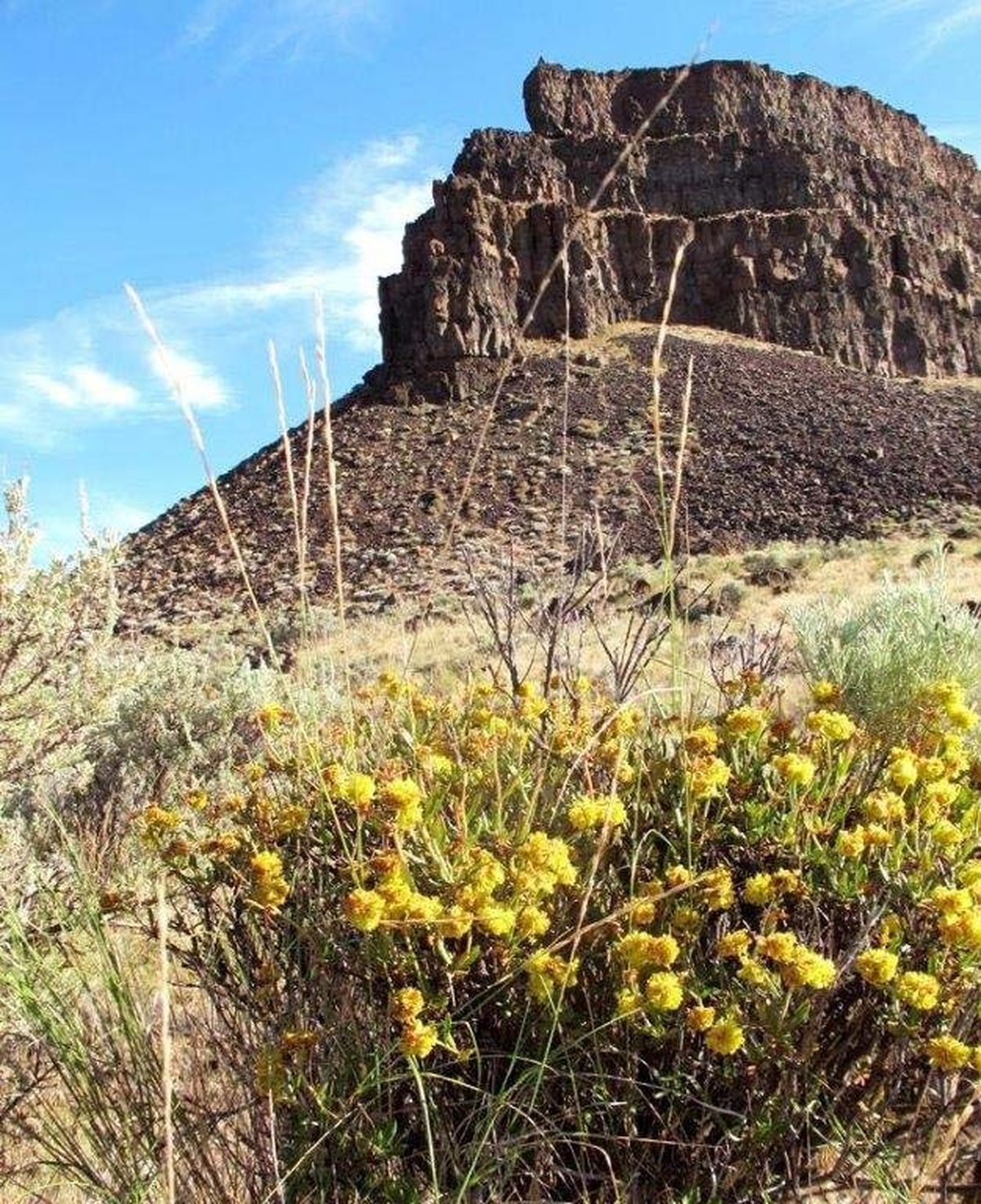 Sun Lakes Dry Falls Loop