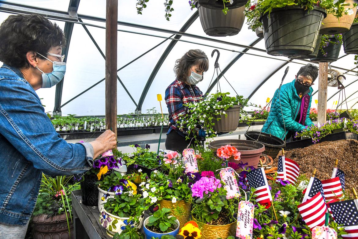 Associated Garden Clubs of Spokane prep for plant sale