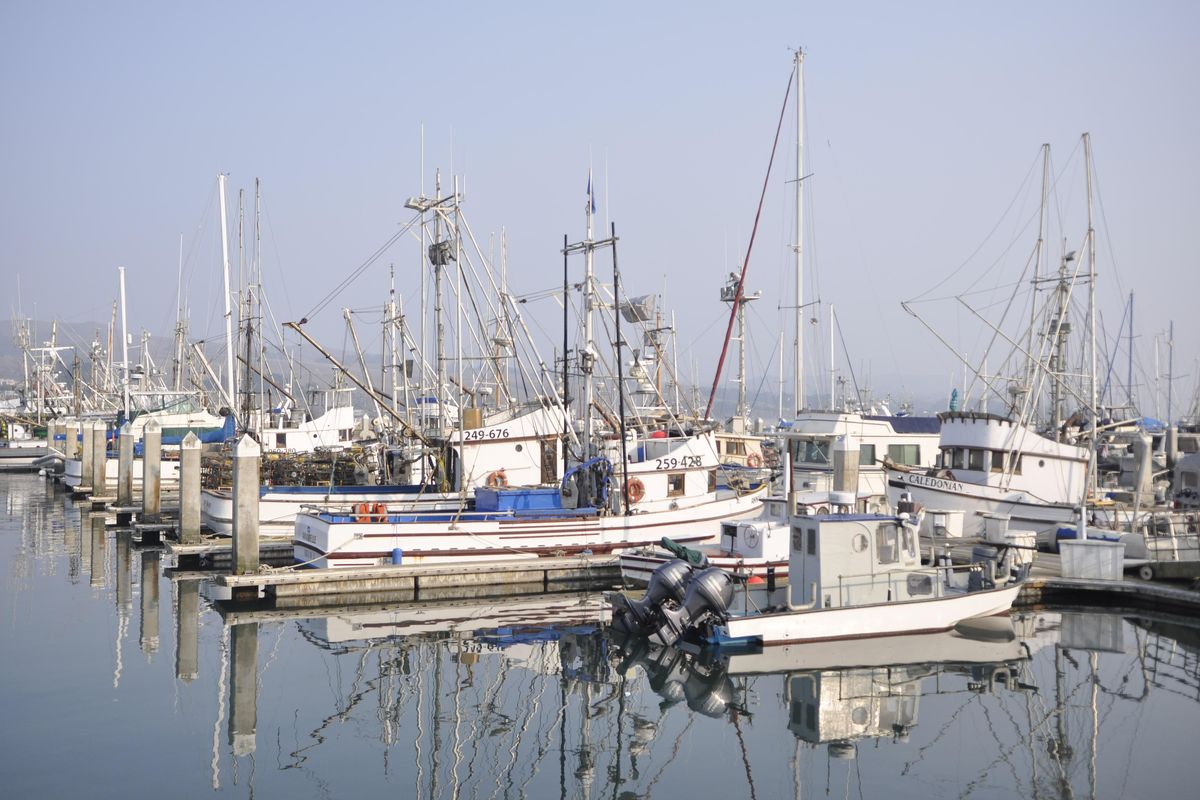 Fishing and other boats are seen in the marina at Bodega Bay. Needless to say, the seafood options in this small waterfront community are quite good. (Adriana Janovich / The Spokesman-Review)
