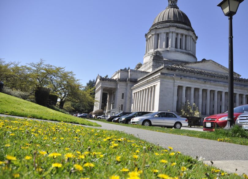 Dandelions blooming on the Capitol Campus generated legislation, and a hearing in a key Senate committee during the last week of regular session. (Jim Camden/The Spokesman-Review)