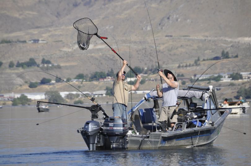 Anglers net a sockeye in the Brewster area of the Columbia River. (Rich Landers)