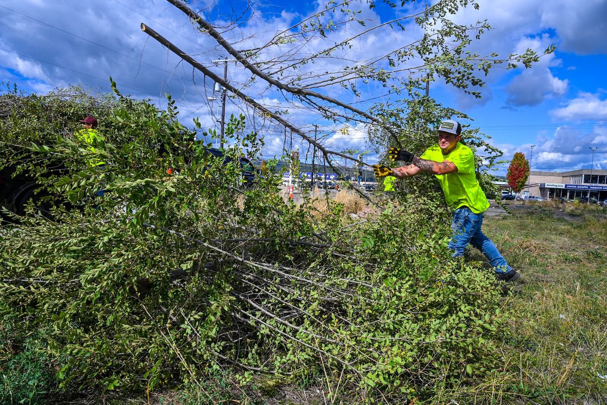 Kory Jones, of Reclaim Project Recovery, clears a willow tree from a vacant lot Tuesday, Oct. 3, 2023, near the corner of Sprague Avenue and Coleman Road. The program provides housing, recovery services and jobs/skills training for men in homelessness, addiction and coming out of incarceration.  (DAN PELLE/THE SPOKESMAN-REVIEW)