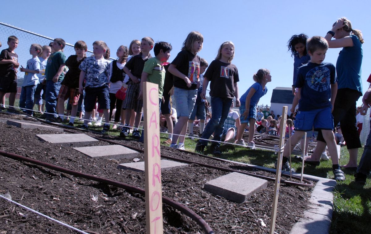 Students file past planted carrots after the dedication of Chester Elementary’s  Community Garden. (J. Rayniak / The Spokesman-Review)