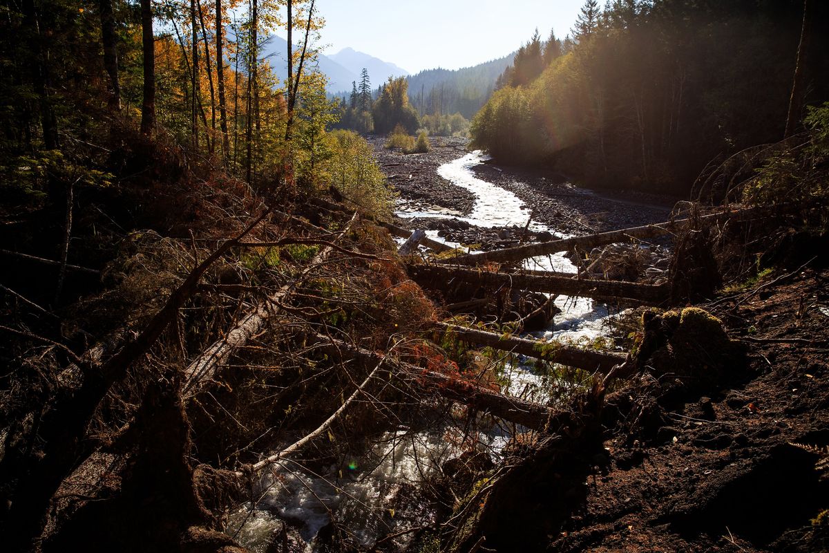 Debris fills the Kautz Creek streambed due to increased glacial runoff of Mount Rainier in Wash., on Oct. 22, 2018. Climate change is melting the ice on Mount Rainier. (MAX WHITTAKER/New York Times)