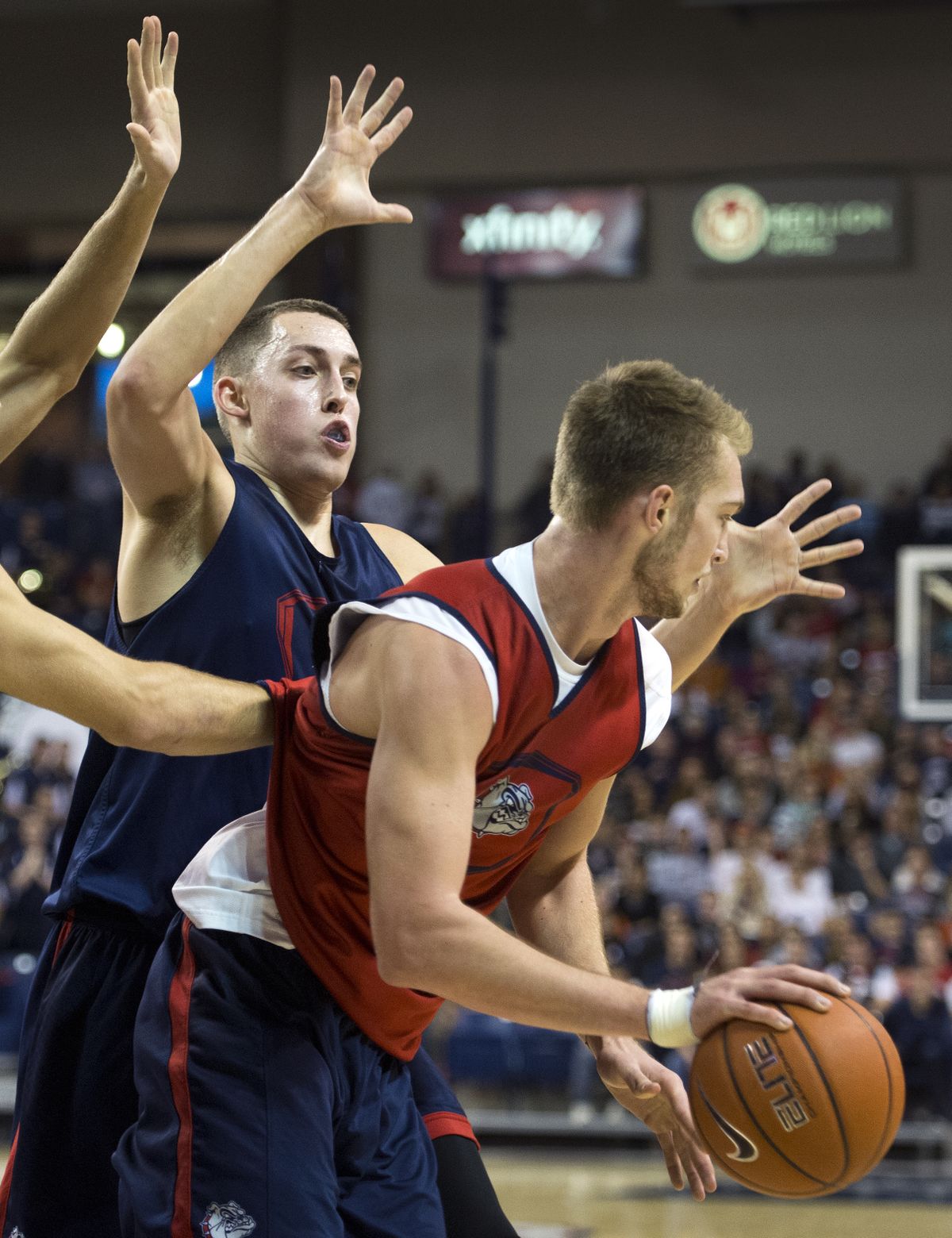 For GU players like Kyle Wiltjer, left, and Domantas Sabonis, scrimmages give the Bulldogs a chance to size each other up. (Dan Pelle)