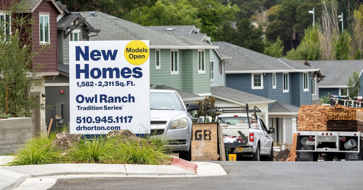 Low birth rate risks creating US housing glut over coming decade