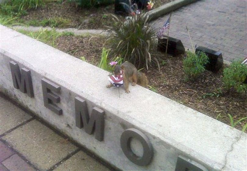 In a Wednesday, Aug. 24, 2011 photo, a squirrel makes off with a flag from the Toledo Police Memorial in Toledo, Ohio. As police officer watched Wednesday, a squirrel quickly snatched a flag off its wooden dowel and ran off with it. They also spotted a squirrel's nest made of leaves and branches, and at least two of the little flags.  ((AP Photo/Toledo Blade via Toledo Police Dept, Lt. James Brown))