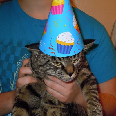 Thor’s first birthday.