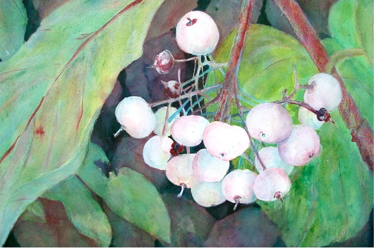 Cheryl Halverson’s “Osier Berries” painting is among those being featured during the Avenue West Gallery’s 20th anniversary show this month.  (Cheryl Halverson)