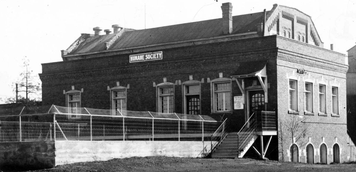 1925: The Spokane Humane Society moved in 1910 to what was then 704 W. Broadway, after operating out of a barn for about 10 years.