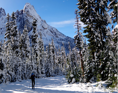 The Methow Trails photo of the day on Nov. 17, 2015, shows enough snow fell in the season's first good snowstorm to allow groomers to begin packing portions of the Methow Valley nordic ski trail system. (Methow Trails)
