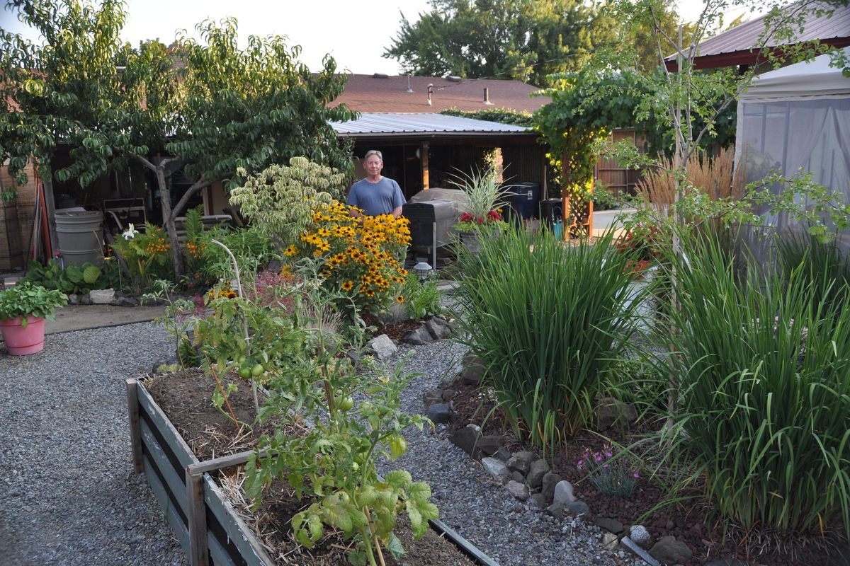 Randy Palmer stands in his northwest Spokane garden after winning the July 2016 Garden of the Month. His backyard retreat is a labor of love and a lot of experimentation; two key ingredients of a good contest entry. (Pat Munts / The Spokesman-Review)