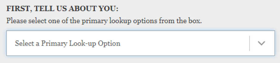 'Select a Primary Look-up Option' section