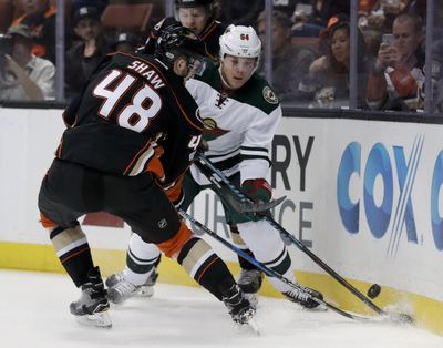Anaheim Ducks center Logan Shaw, left, left, vies for the with Minnesota Wild center Mikael Granlund during the first period of an NHL hockey game in Anaheim, Calif., Sunday, Jan. 8, 2017. (Chris Carlson / Associated Press)