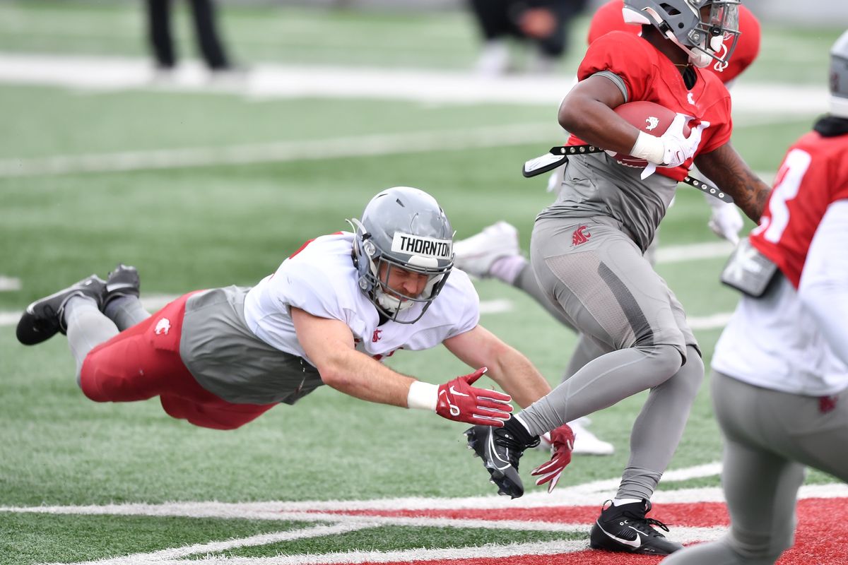 Washington State Cougars linebacker Kyle Thornton (52) dives against the offense during WSU’s first spring scrimmage on Saturday, Apr 6, 2024, on Gesa Field in Pullman, Wash.  (Tyler Tjomsland/The Spokesman-Review)