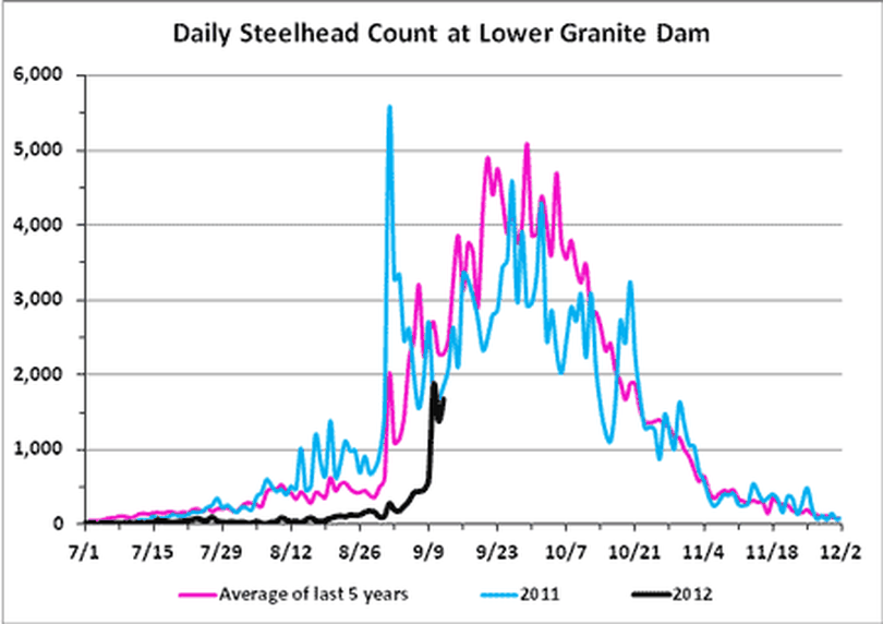 Steelhead counts at Lower Granite Dam, Sept. 17, 2012. (Fish Passage Center)