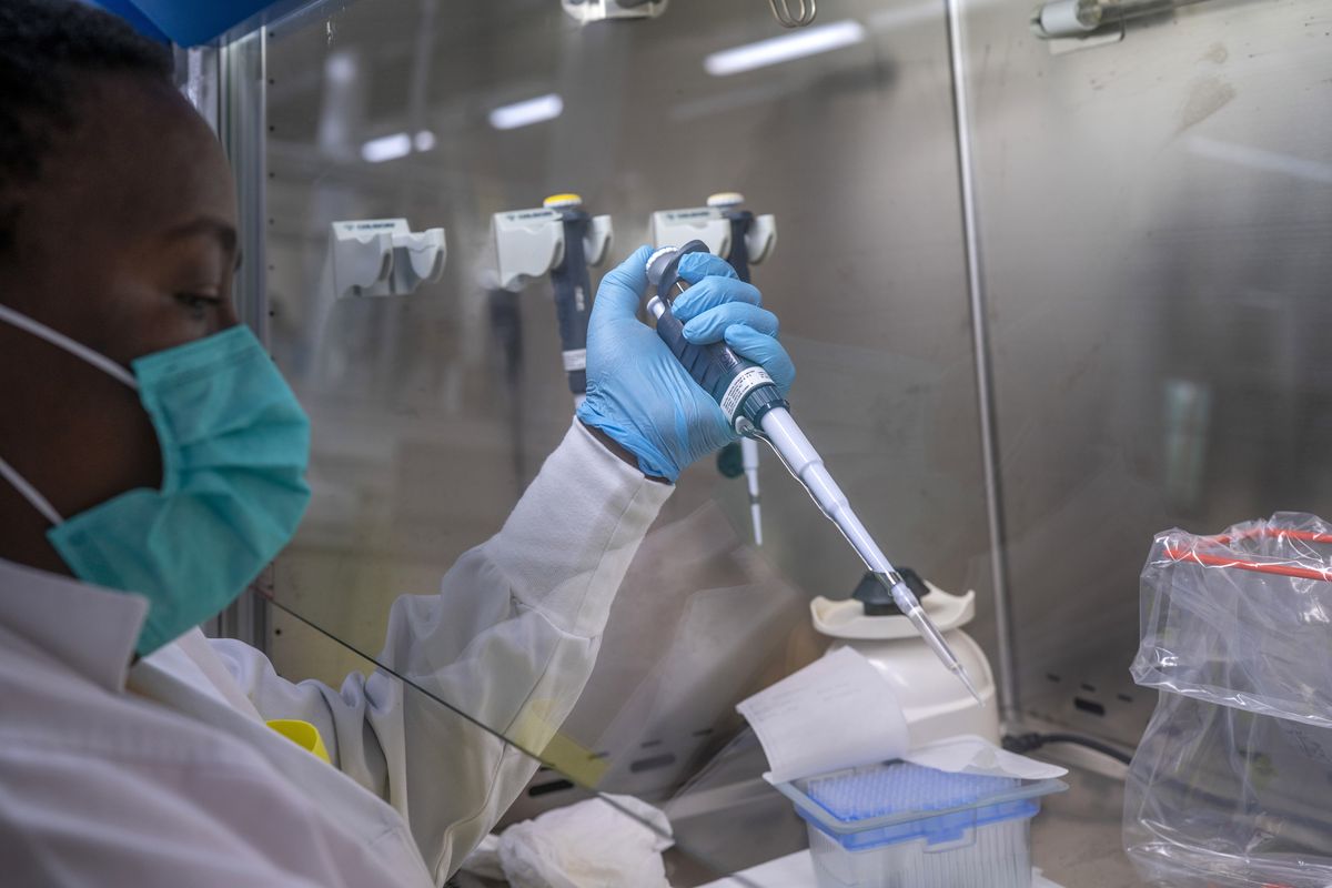 Puseletso Lesofi prepares to sequence COVID-19 omicron samples at the Ndlovu Research Center in Elandsdoorn, South Africa Wednesday Dec. 8, 2021. The centre ls part of the Network for Genomic Surveillance in South Africa, which discovered the omicron variant.  (Jerome Delay)