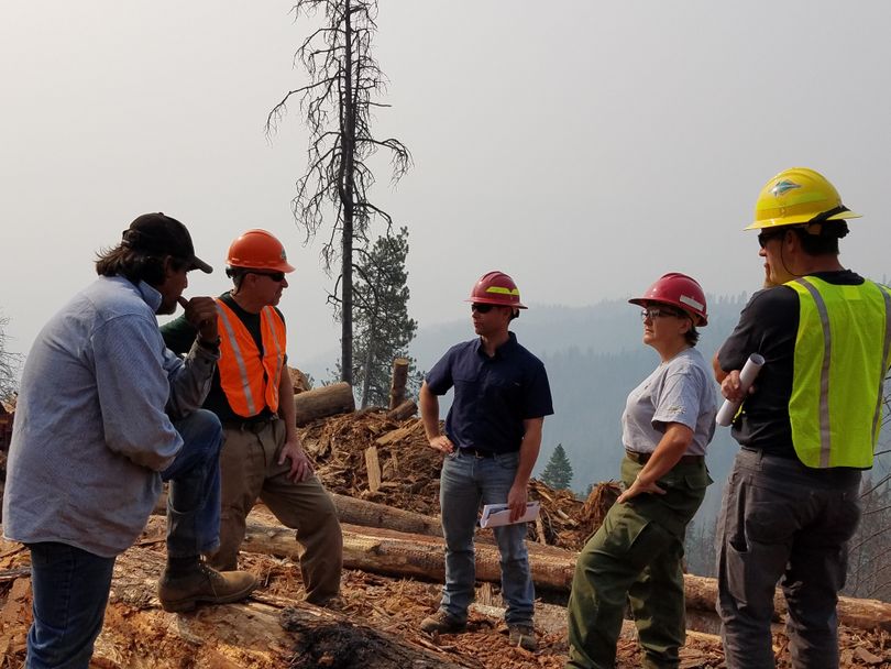 Federal and state forestry officials and a contractor confer at the site of the Woodrat salvage timber sale, a “Good Neighbor Authority” project in the Nez Perce National Forest. From left are Arnold Pineda, of Pineda Brothers Logging; Idaho State Forester David Groeschl; state Lands Department worker Jarel Bruce; Nez Perce-Clearwater National Forest Supervisor Cheryl Probert; and Idaho Department of Lands Forestry and Fire Division Administrator Craig Foss. (Idaho Department of Lands)