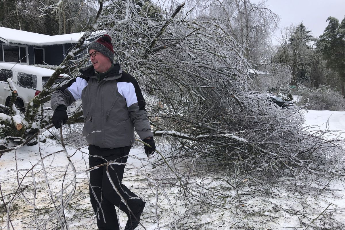 People walk by a collapsed tree in Lake Oswego, Ore., Saturday, Feb. 13, 2021. The tree fell during an ice and snowstorm that left hundreds of thousands of people without power and disrupted travel across the Pacific Northwest region.  (Gillian Flaccus)