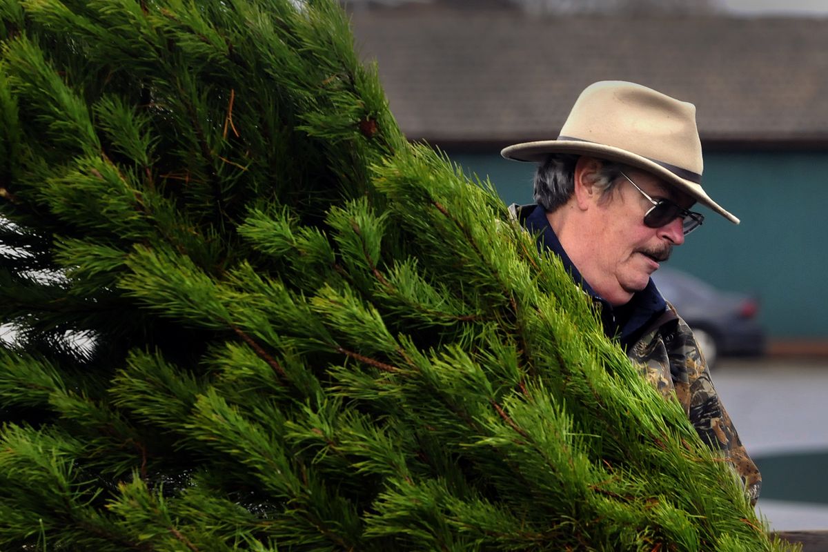 Mike Tuel carries a tree into its place Friday, Nov. 27, 2009 at his tree lot on 4th St. in Coeur d