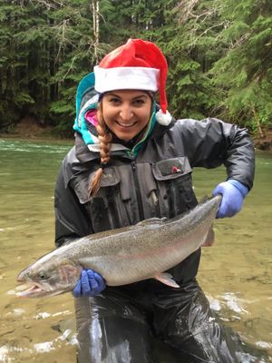 Look what Santa delivered! Ashley Lewis, owner at Quinault Sport Angling, releases a Christmas season steelhead. (Quinault Sport Angling)