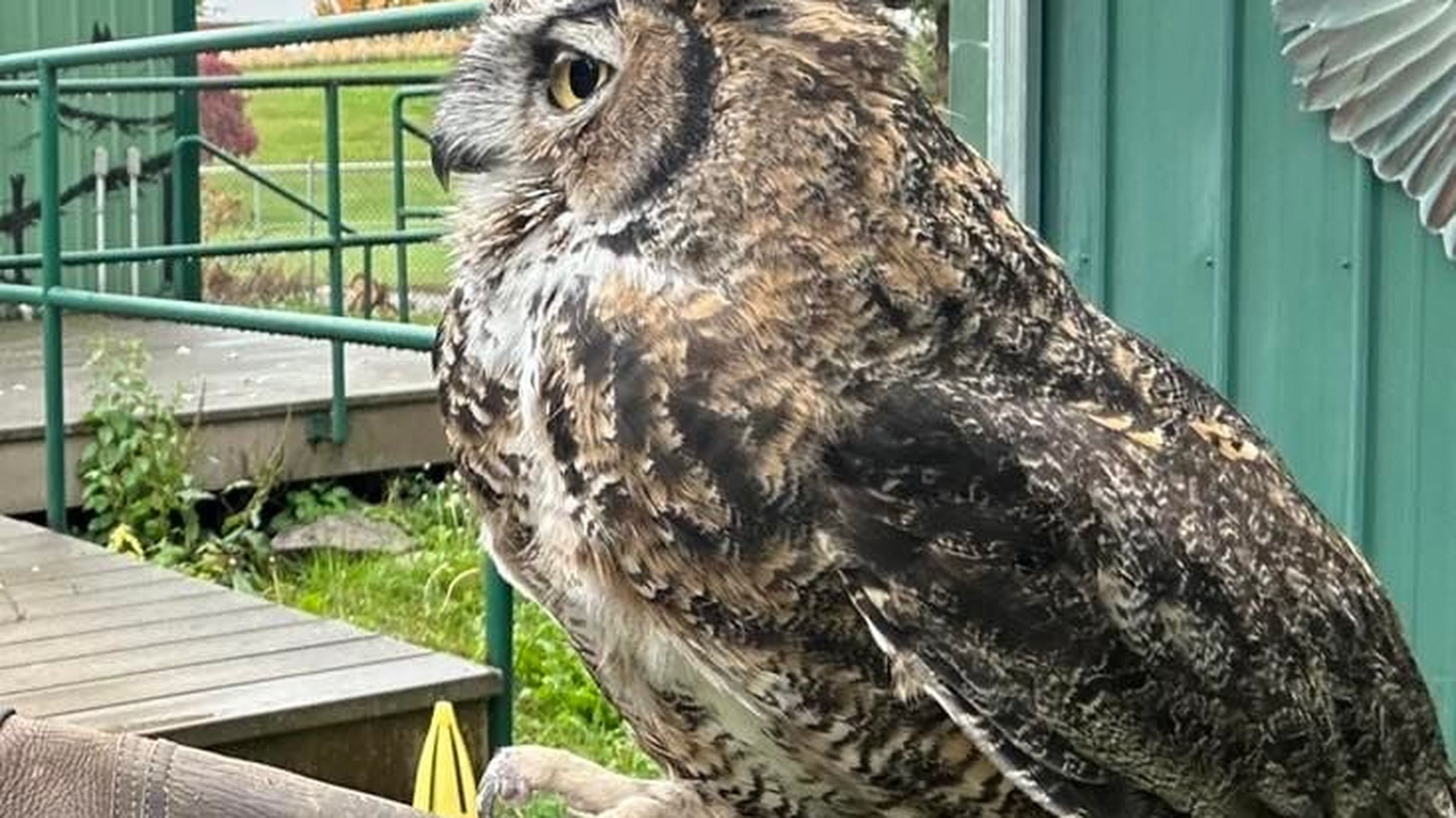 West Valley Outdoor Learning Center asking for help finding