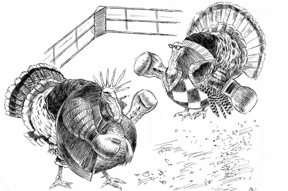 Preparation can turn the wild turkey nuisance into Thanksgiving glory