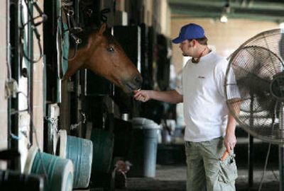 
Dodgers pitcher Brad Penny owns a stake in four thoroughbred race horses.
 (Associated Press / The Spokesman-Review)