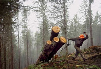 Low timber prices are hurting plans to boost national forest logging.File Associated Press
(File Associated Press / The Spokesman-Review)