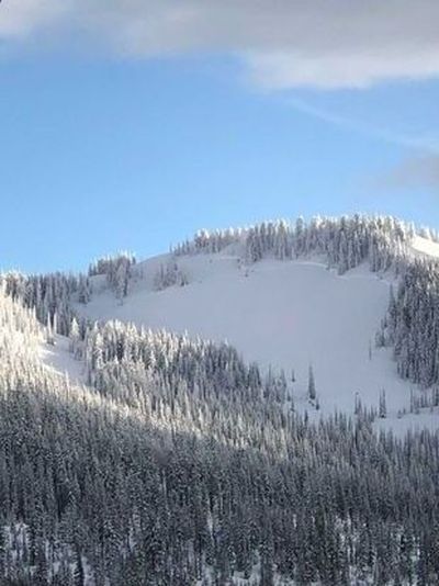 A photo of the Feb. 27 fatal avalanche taken by a witness from across the valley.  (Courtesy of Avalanche.ogr)