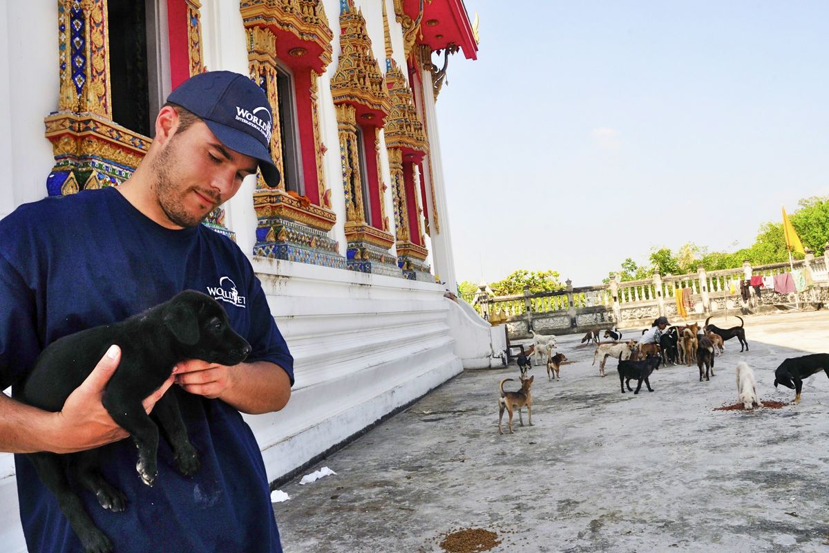 Ryan Finley helps save a puppy that was left at a Buddhist temple in a flooded area of Bangkok.